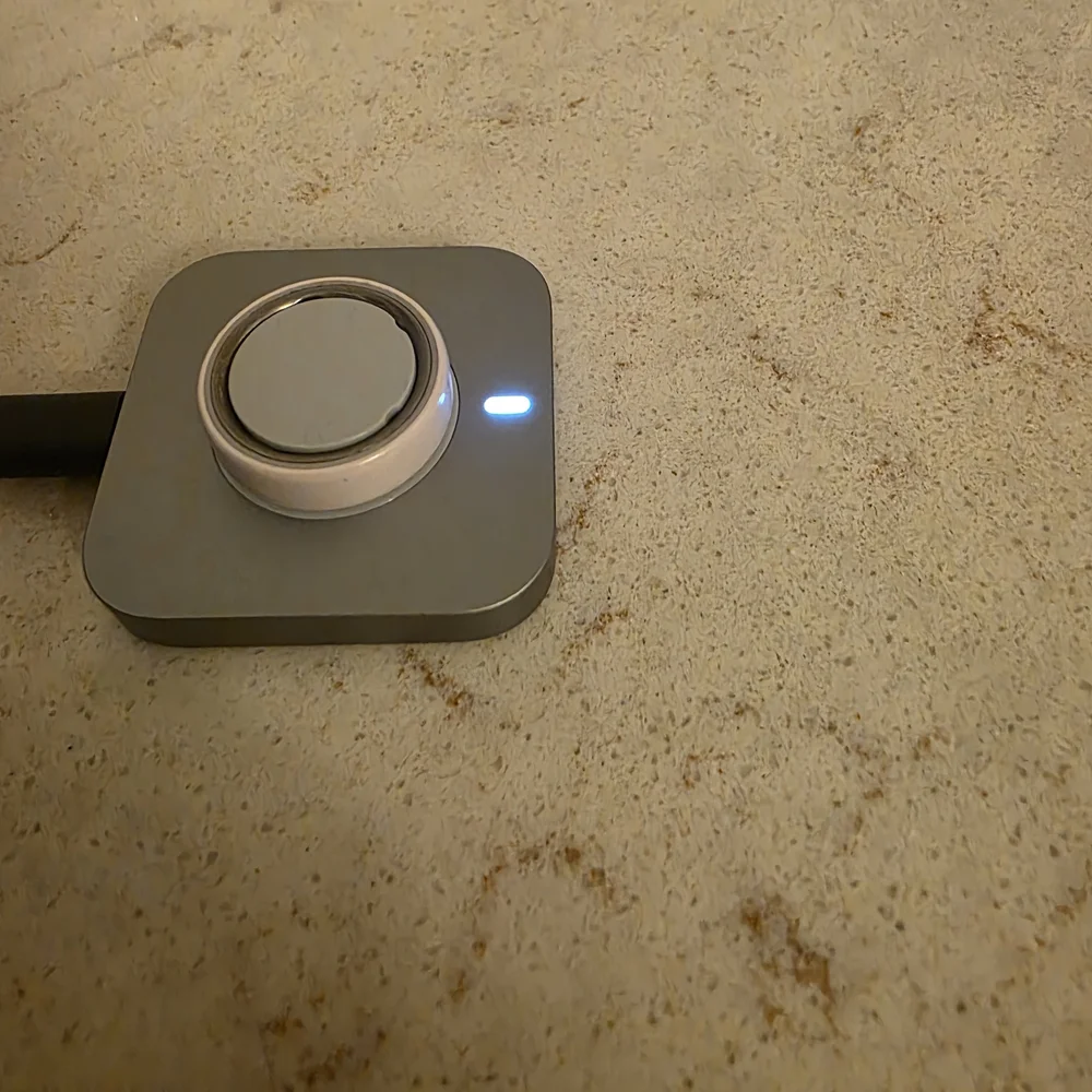 Oura Smart Ring 4 Ceramic Lilac in Silver, Ring Guards And Buffing Cloth
